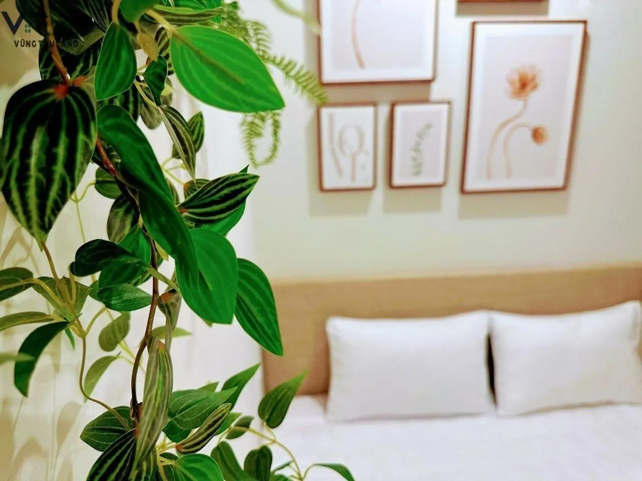 The Song Hotel & Apartment Вунгтау Вьетнам